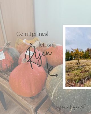 Pro víc podzimní pozitivity🍂 sleduj @zdrava.krasna.fit 💜🧡💚 #zdravastrava #zdravyzivotnistyl #hubnuti #vyzivovyporadce...