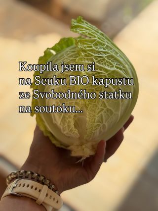 I podzim nabízí spoustu dobré sezonní zeleniny. 🥕🥬🍠🎃 Na kapustu @zesoutoku.cz je ten pravý čas právě teď. Skoč si pro ni...